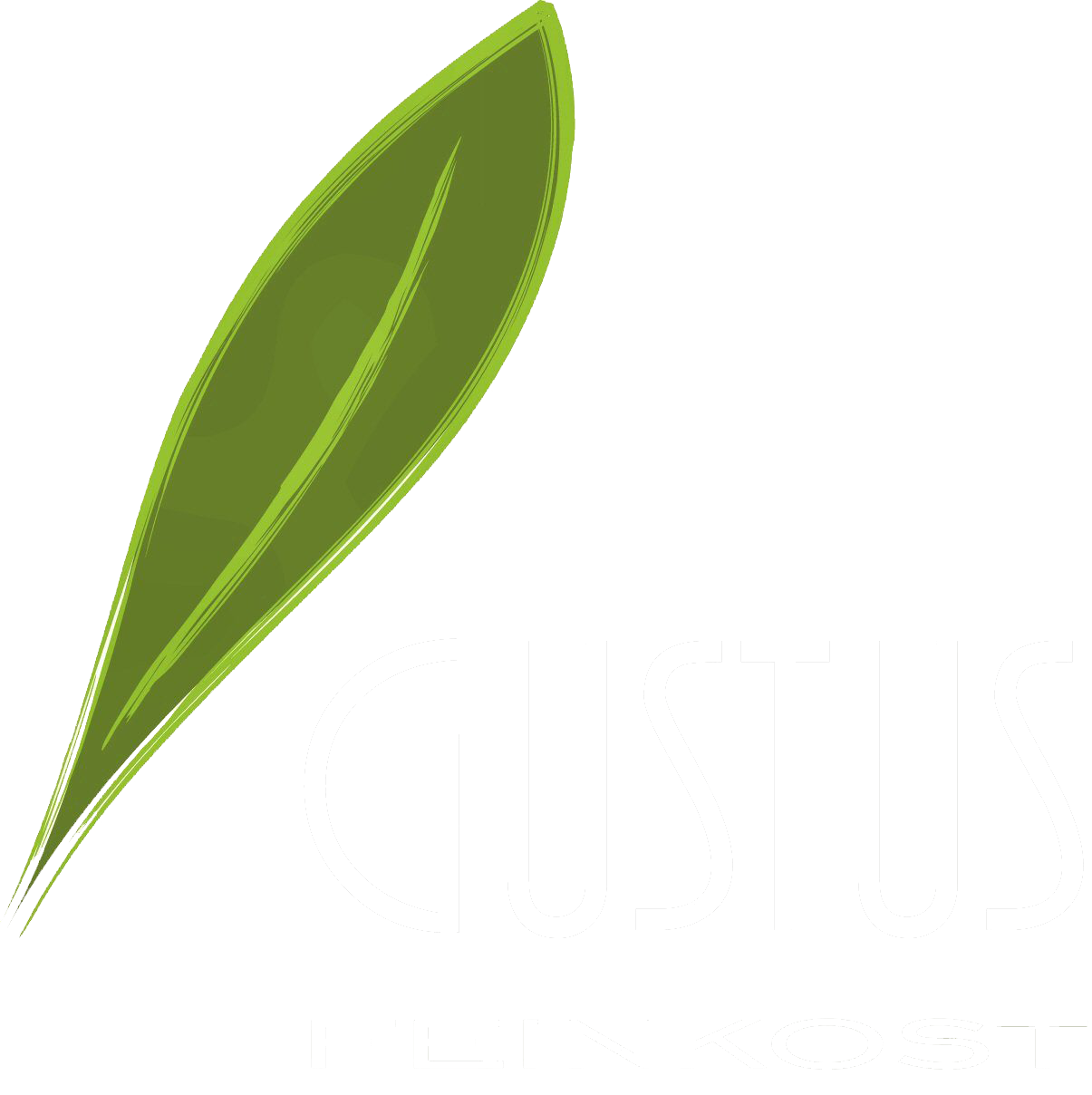 Gustus Feint